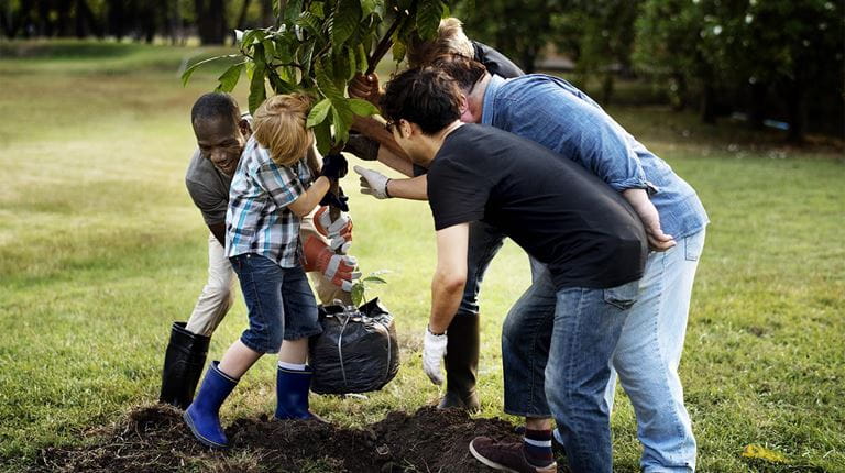 Plantation d'un arbre ensemble